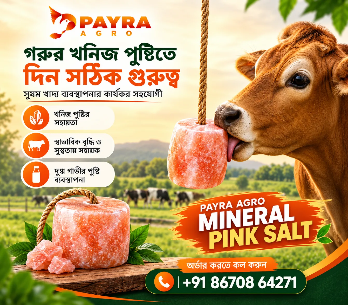 PAYRA AGRO MINERAL PINK SALT (5KG)