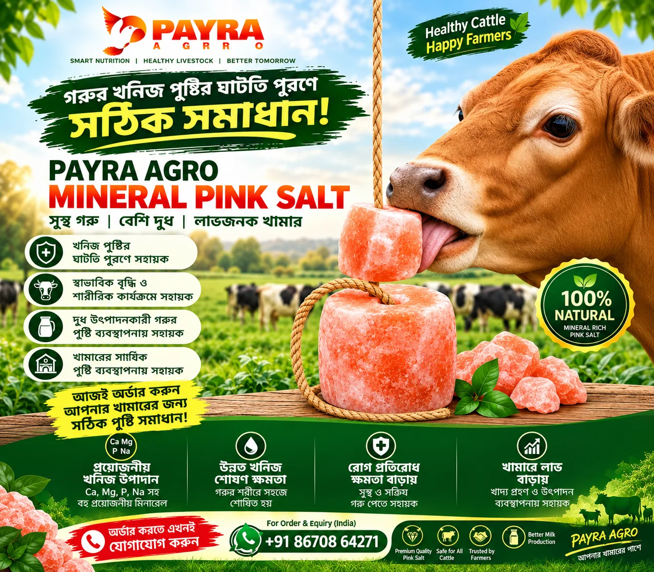 PAYRA AGRO MINERAL PINK SALT (5KG)